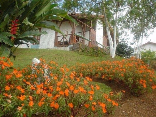 Cabanas La Primavera