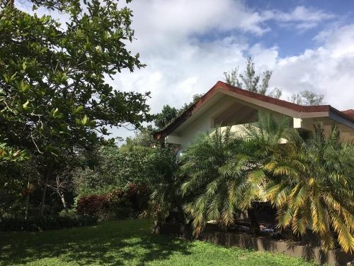 Agapantha Cottage Bed & Breakfast