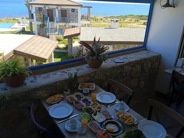 Ardıc Agacı Tatil Koyu