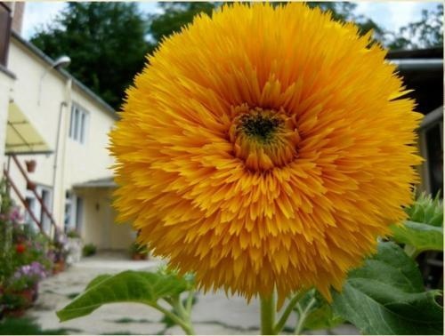 Börzsönykapuja Vendégház