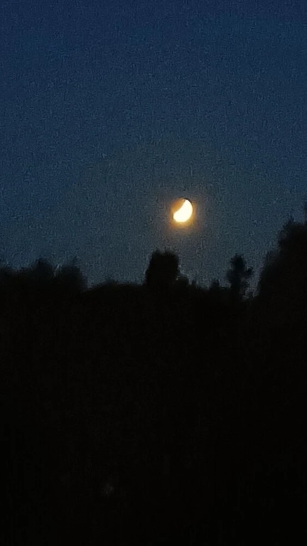 Arezzocastiglion Fiorentinocortona Firenzeroma