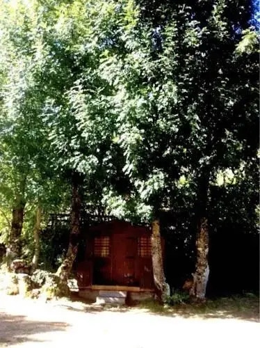 Camping El Cares Picos De Europa