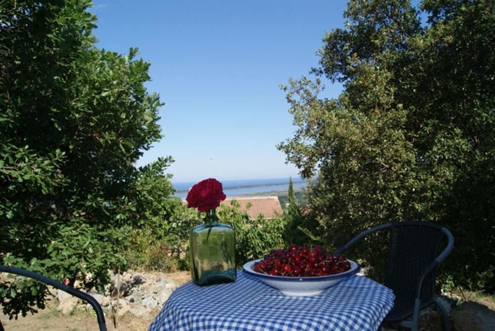 Apartment With One Bedroom In Furiani, With Furnished Garden And Wifi