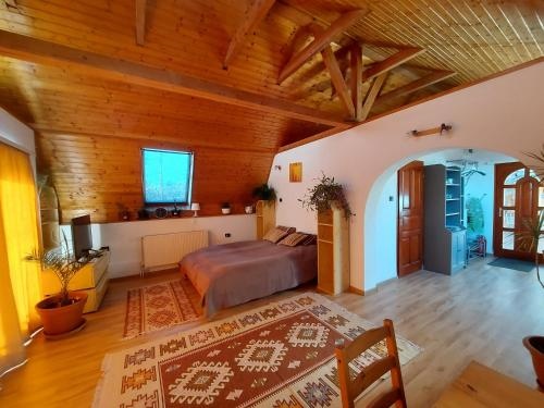 Attila-Apartman Budaors
