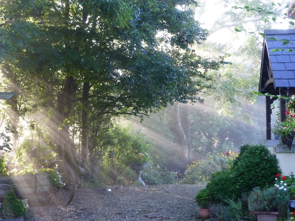 Coedllys Country House