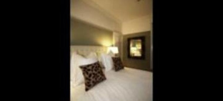 Dragonfly Hotel
