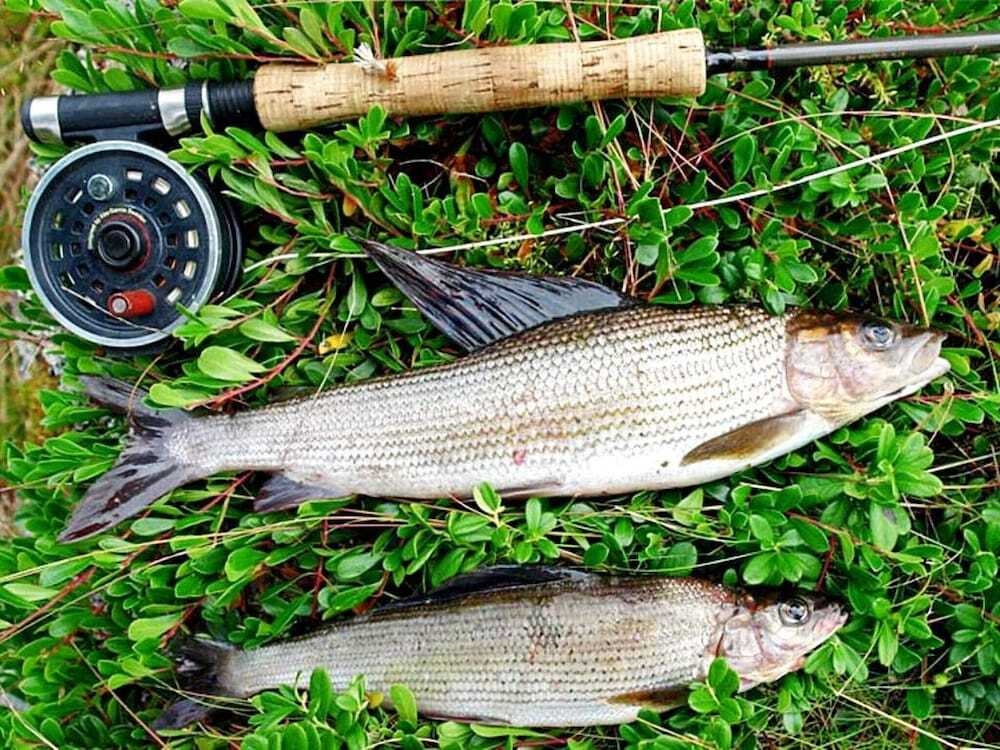 6 Person Holiday Home In Gnarp