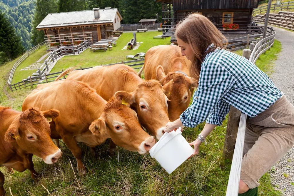Hotel The Originals Borgo Eibn Mountain Lodge