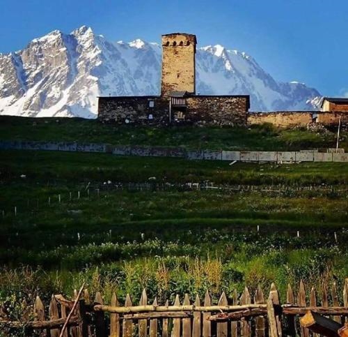 Chvibiani Guesthouse & Bar