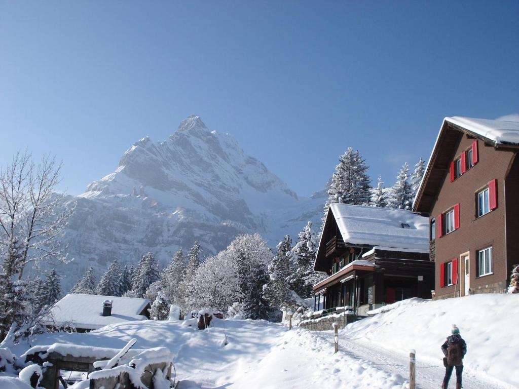 Adrenalin Backpackers Hostel