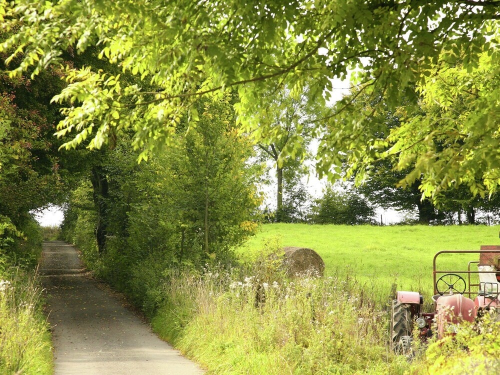 Cozy Holiday With Terrace In Houyet