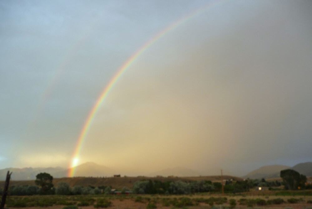Emigrant Cabin On 10 Acres W/ Bbq & Peaceful Views