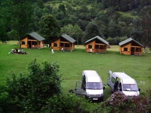 Eko Oaza-Tear of Europe