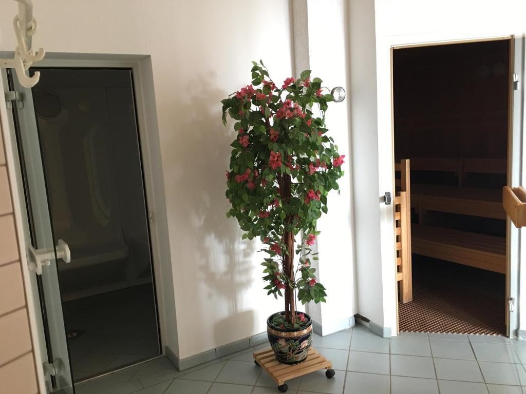 Gasthof-Ferienappartements Rausch