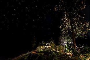 Camp Cayla - Stellar