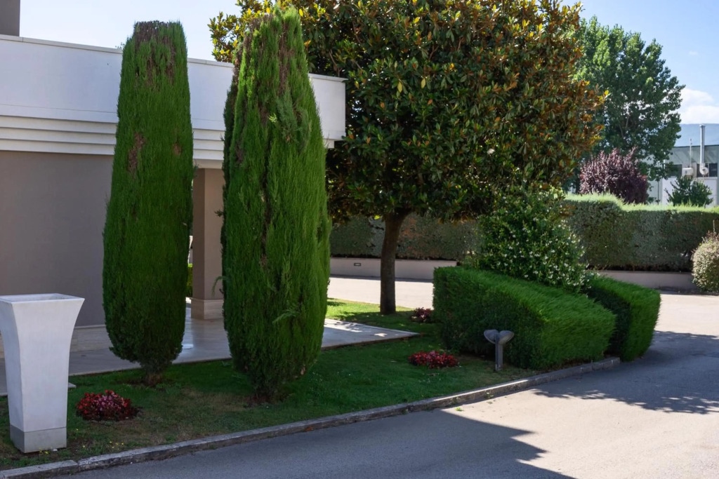 Albergo Ristorante Citta' Dei Papi