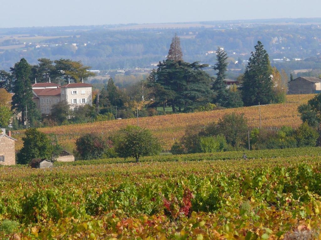 Chateau De Grandmont