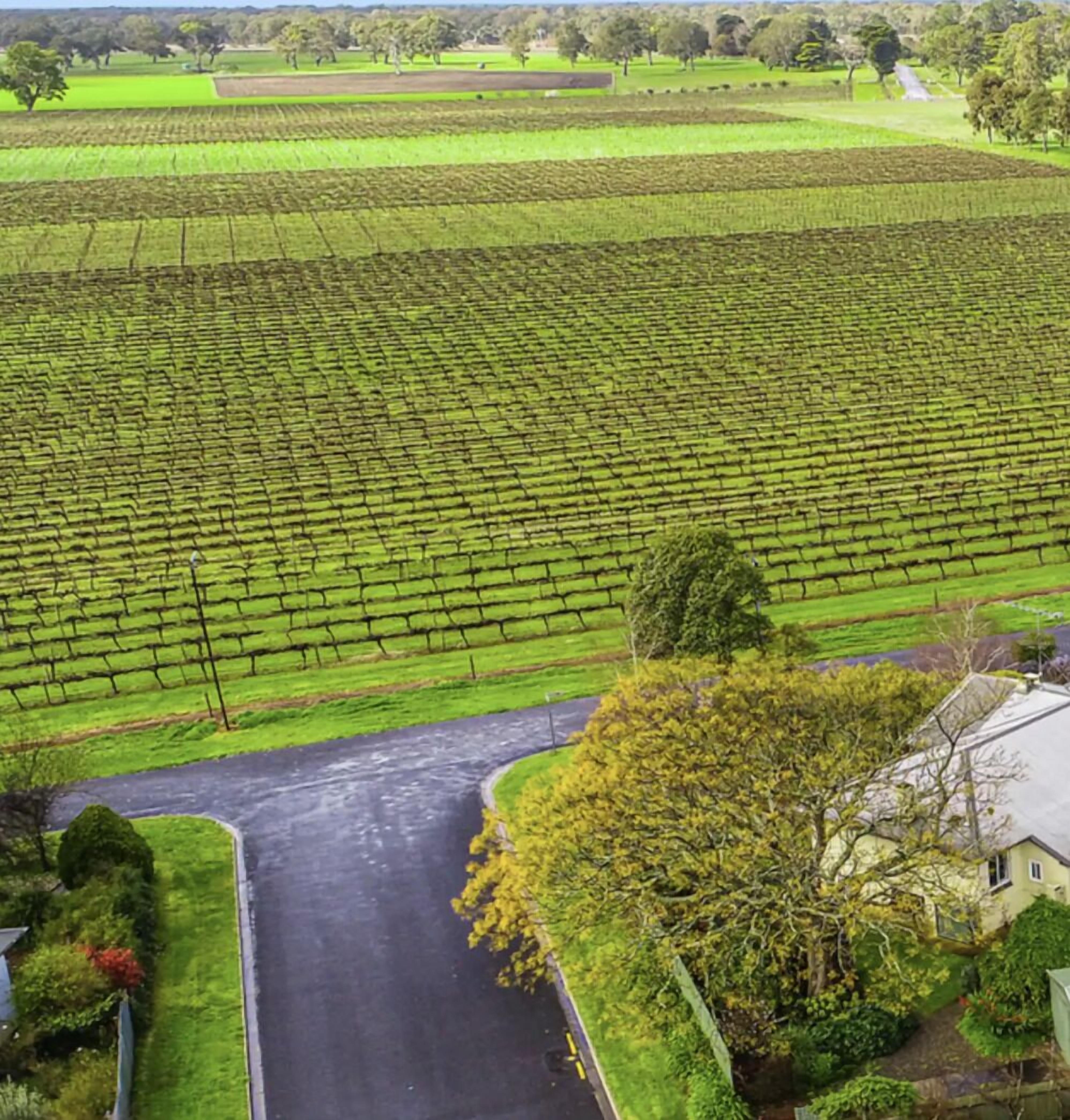 A Penola-Coonawarra Villa