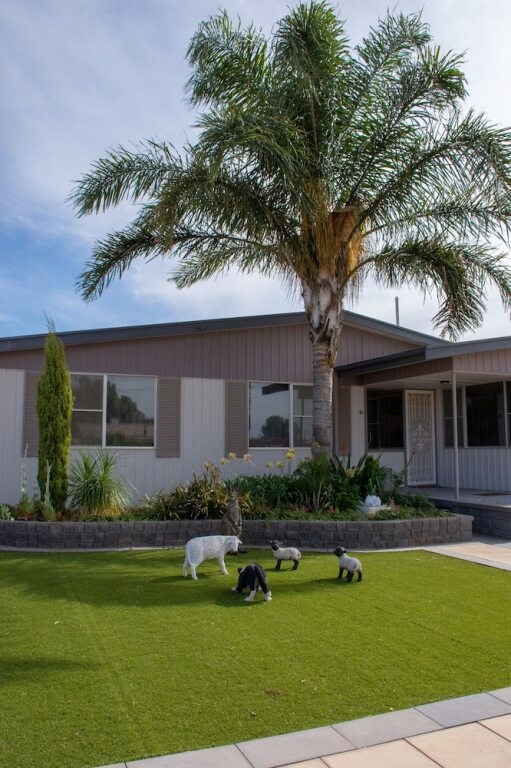 Chrissies Palace - Hostel