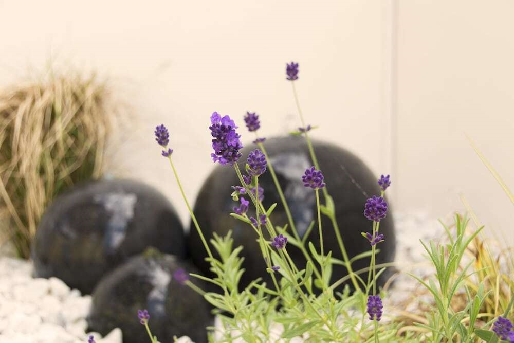 Das Nordsee-Gesundheitshaus - Haus Am Wattenmeer