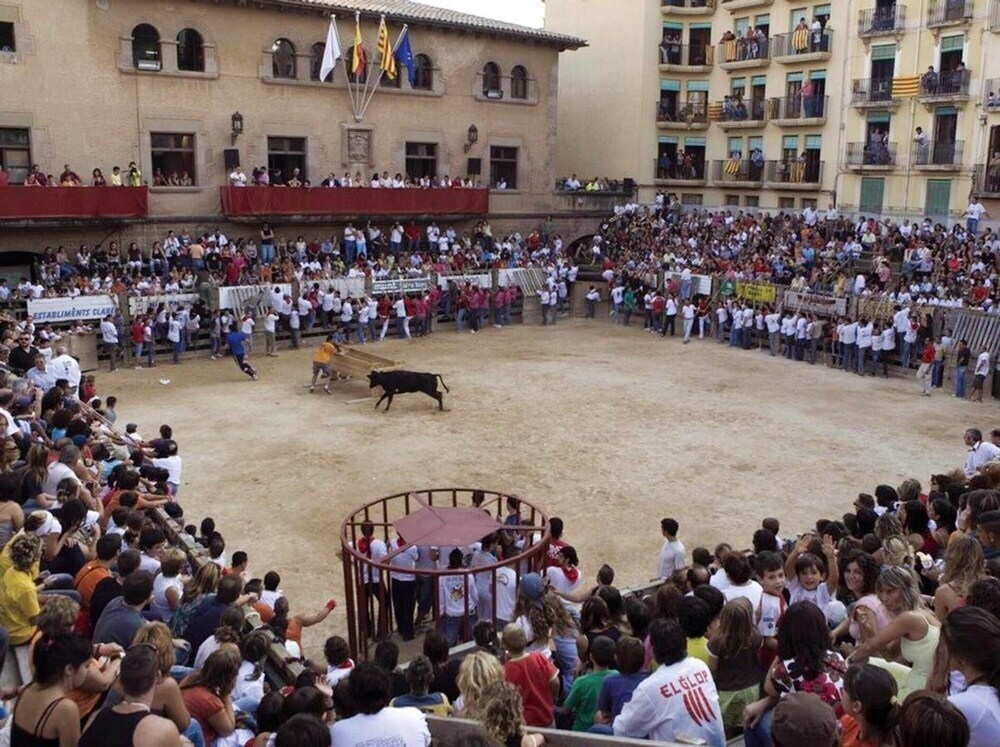 Apartment With 3 Bedrooms In Cardona, With Wonderful City View, Enclosed Garden And Wifi