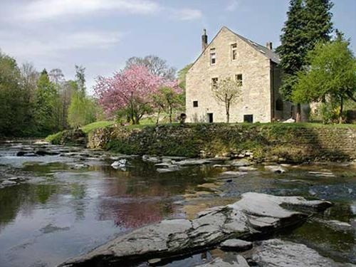 Dilston Mill