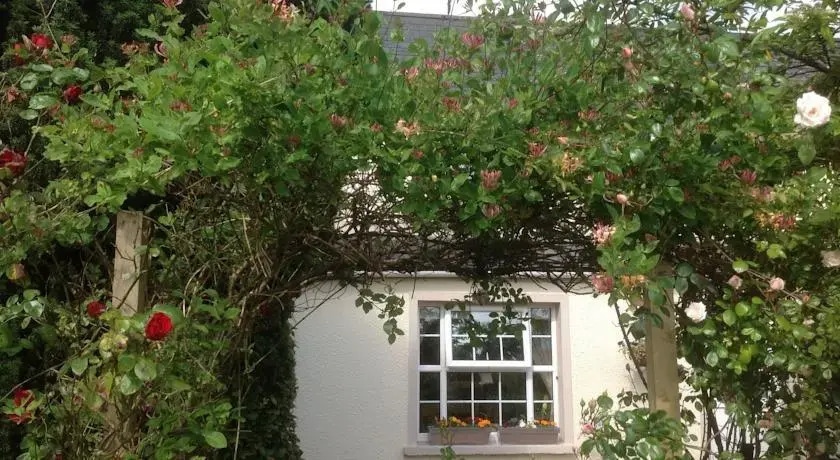 Culmore Cottage B&B