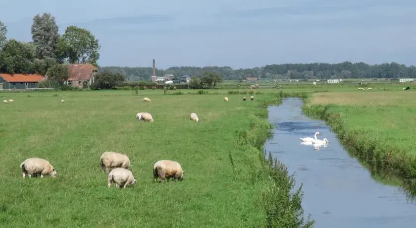 Corona Bed en Breakfast