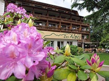 Hotel Des Alpes