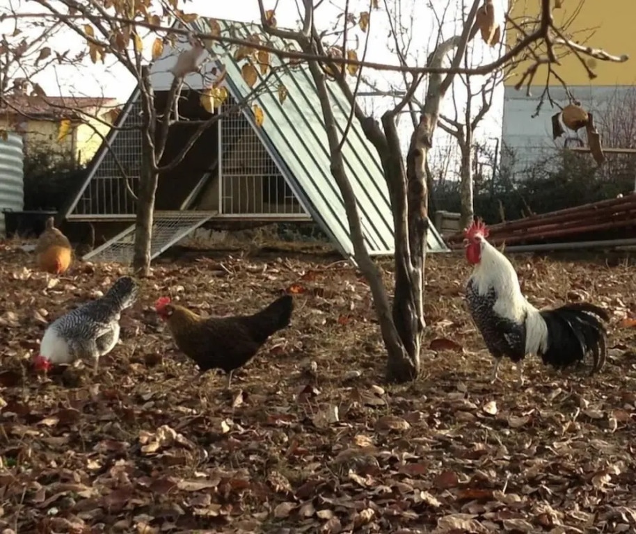 Agriturismo Azienda Agricola Miranti