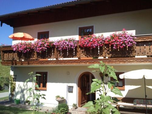 Ferienwohnung Loffelberger