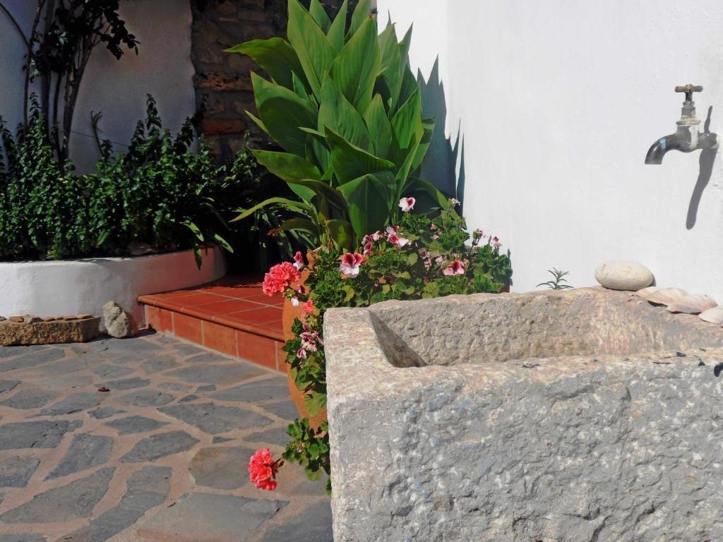 Charming house ideal for couples and young families