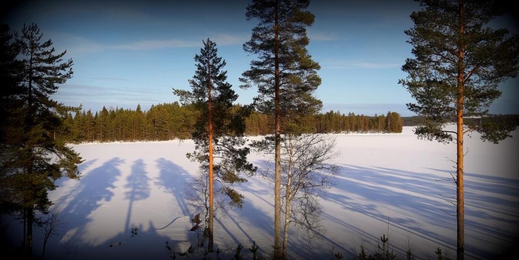 Holiday Homes Majoinen