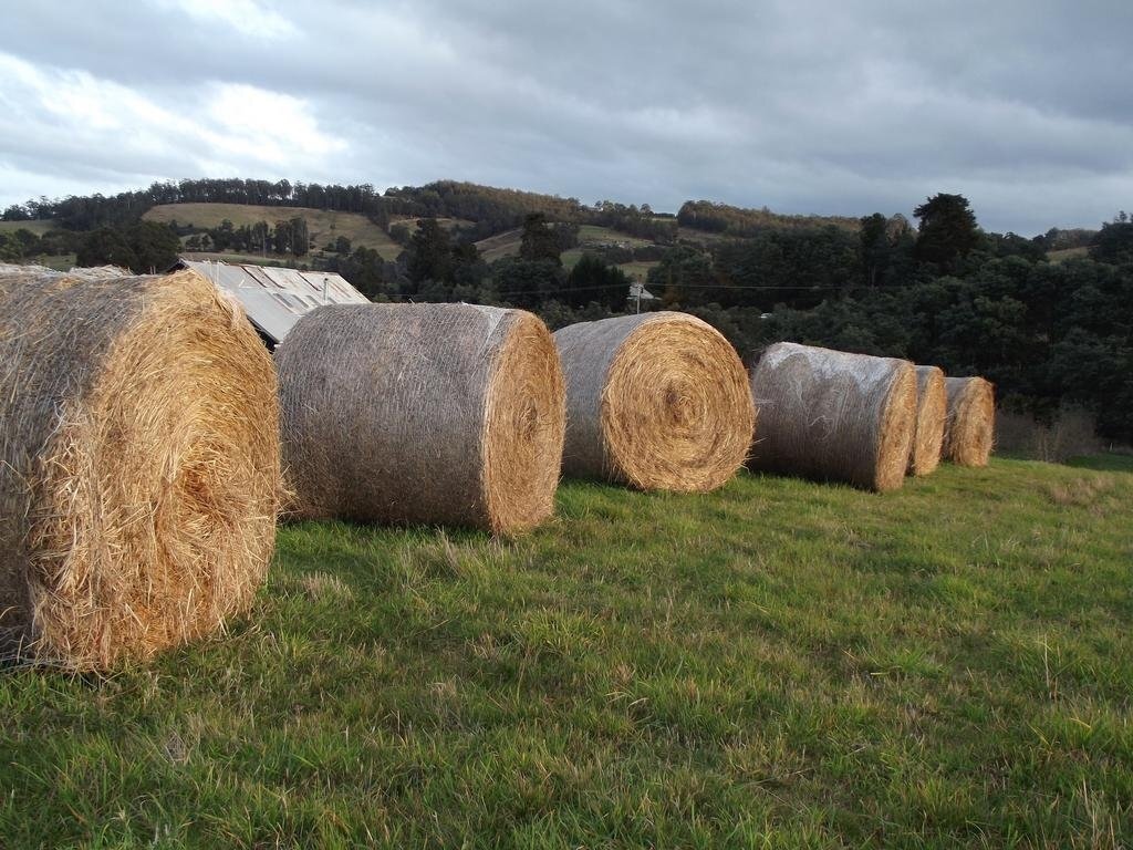 Eden Orchard & Farmstay