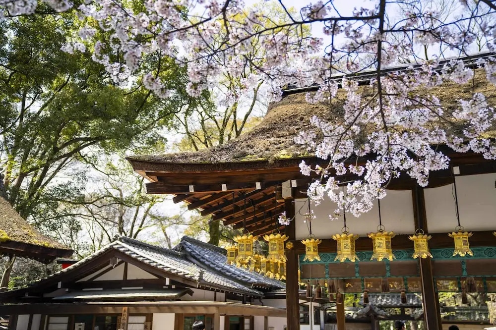 Kamo Residences by Reflections