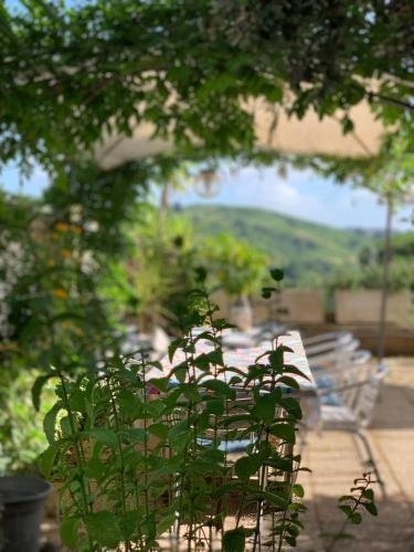 Il Cenacolo Di Sissi