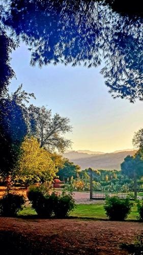 El Solar De Los Olivos