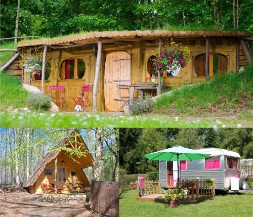 Le Coeur De La Forêt