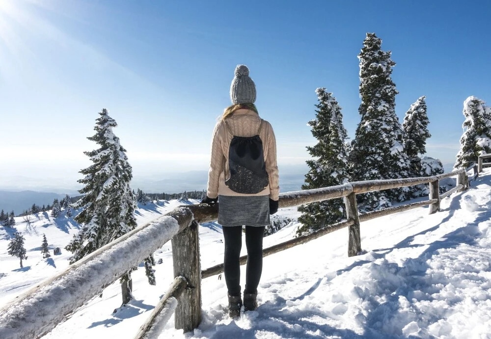 Green Inn Homestead With Sauna