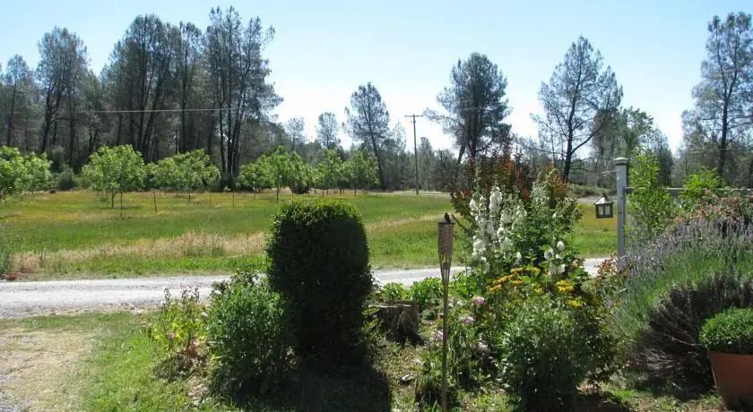 Lavender Dreams Bed And Breakfast Cottage