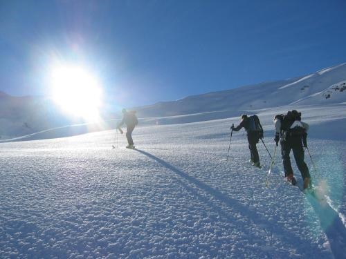 Erlebnisgasthof Alpina