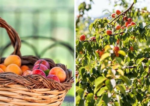 Le Rocche - Guest House