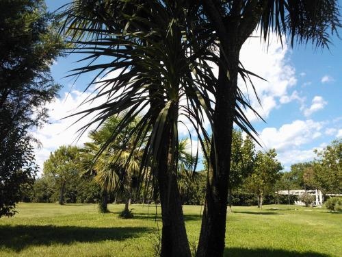 Agricola San Germano