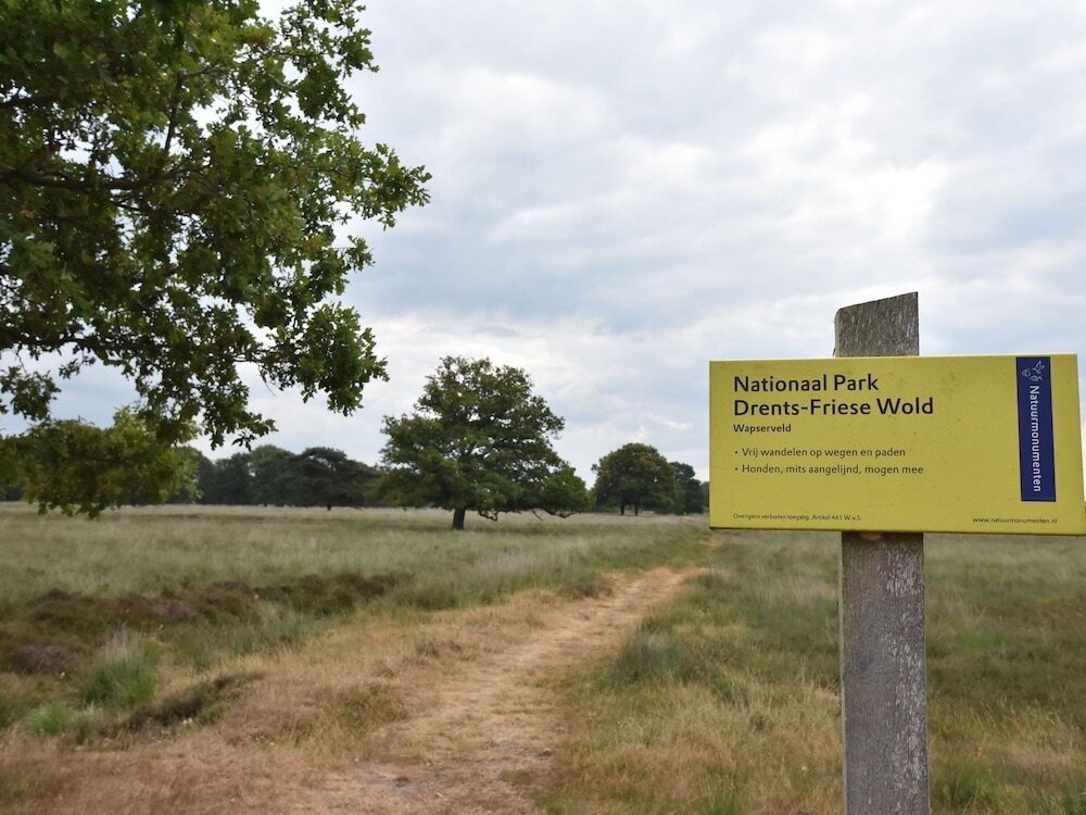 Quaint Chalet In Norg With Balcony Terrace Garden Hammock
