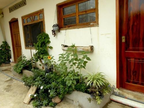 Hostal D'mary