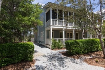 Dandelion By Exclusive 30A