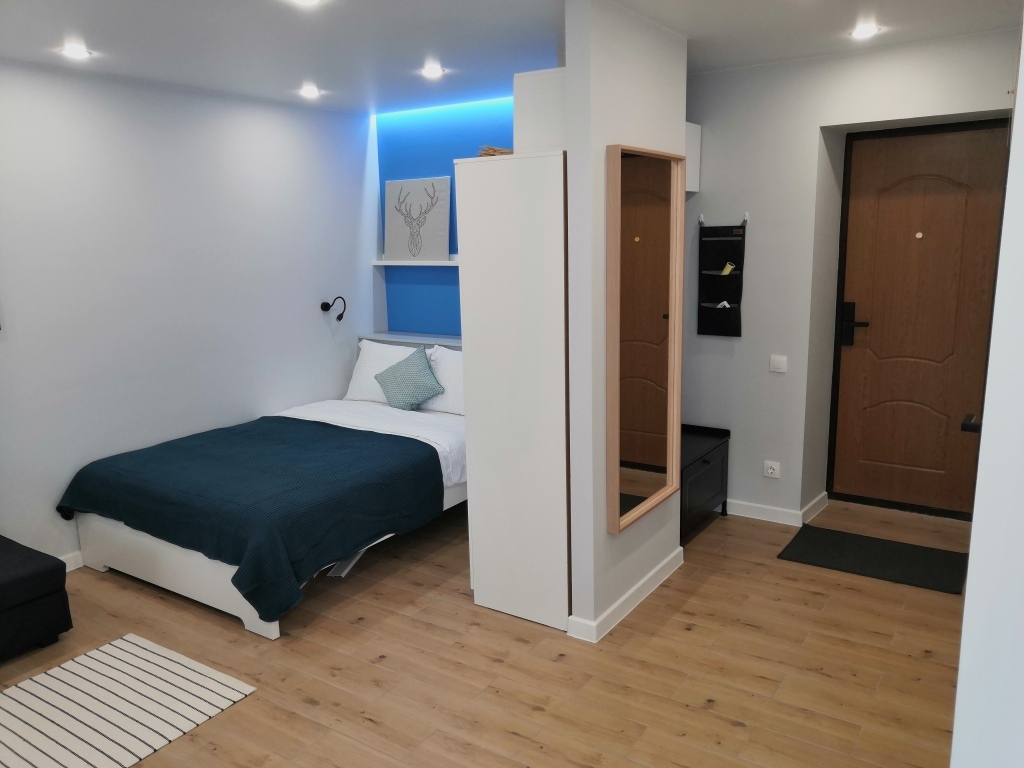 Luxury Studio Na Pushkina Flat