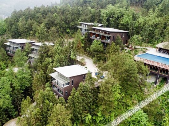 Forest Homestay At Sunrise