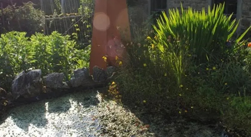 Langcliffe House B&B