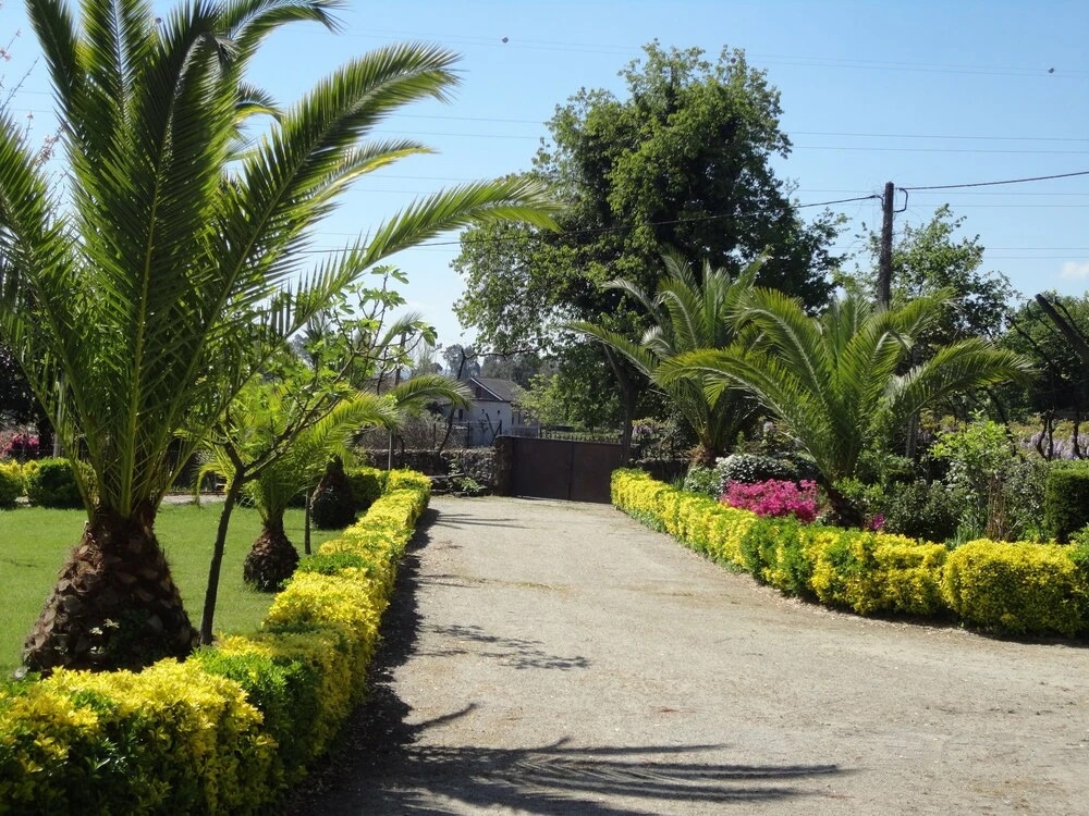 Agroturismo Quinta Dom José
